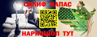 хмурый Бийск