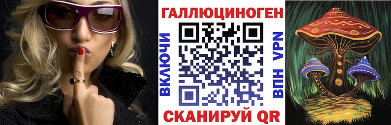Псилоцибиновые грибы MAGIC MUSHROOMS  наркотики  Новозыбков 