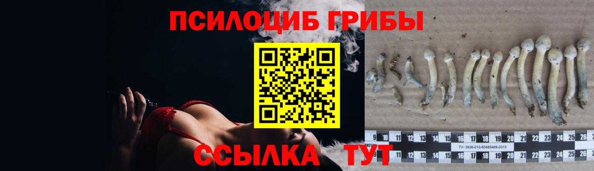 Галлюциногенные грибы прущие грибы Новозыбков